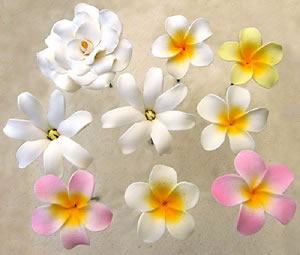 hair picks - keiki