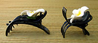 side view of claws