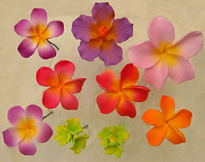 hair picks - keiki