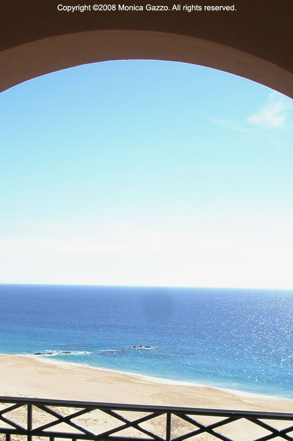 room with a view