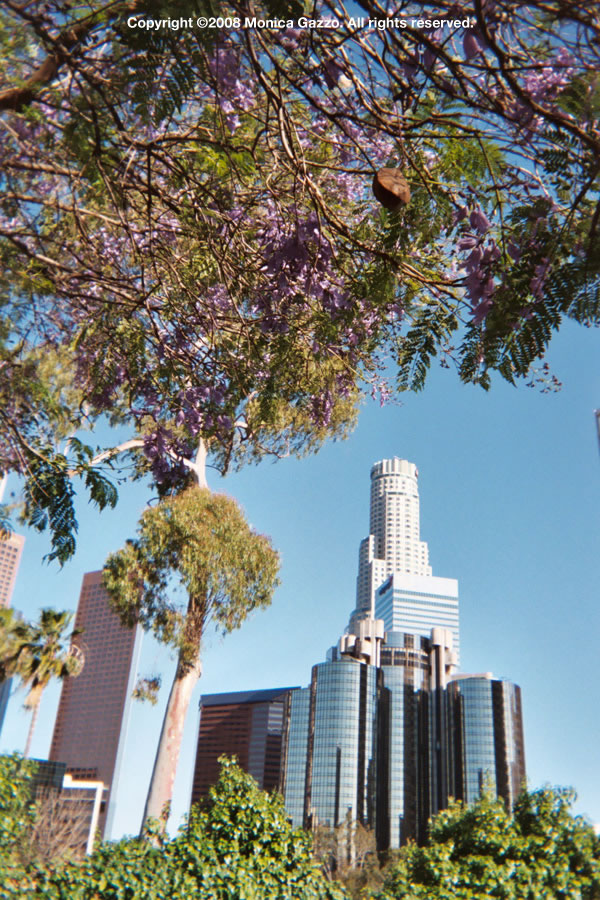 los angeles