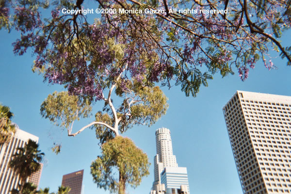 los angeles