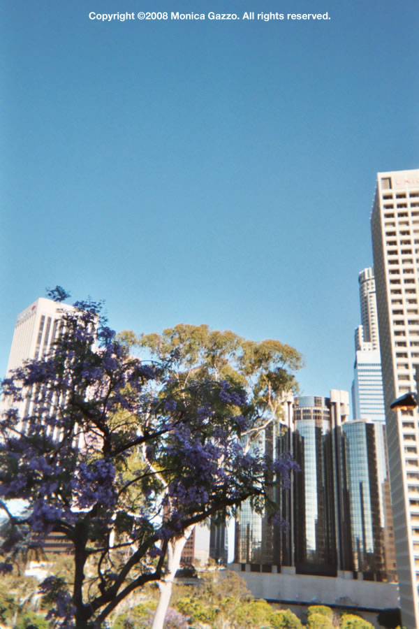 los angeles