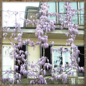 castelfiorentino basso
