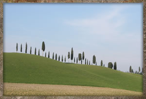 castelfiorentino alto