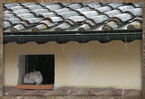 castelfiorentino rain