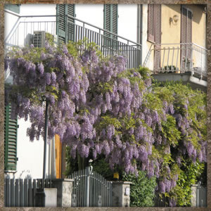 castelfiorentino ponte a elsa